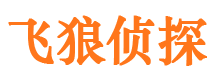 临湘寻人公司